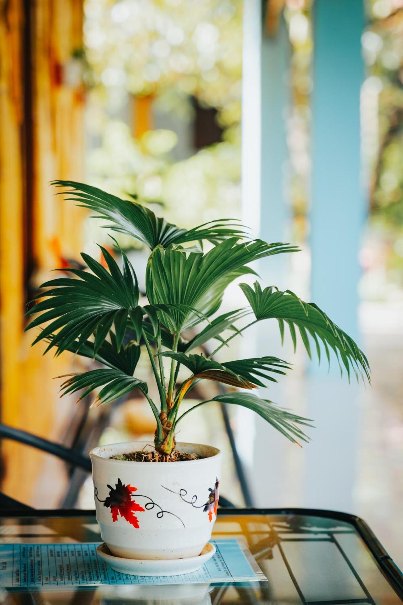 Blue Garden Homestay Ninh Bình Extérieur photo