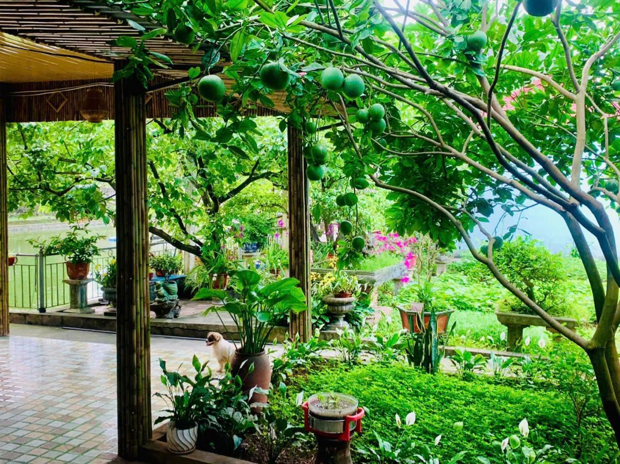 Blue Garden Homestay Ninh Bình Extérieur photo