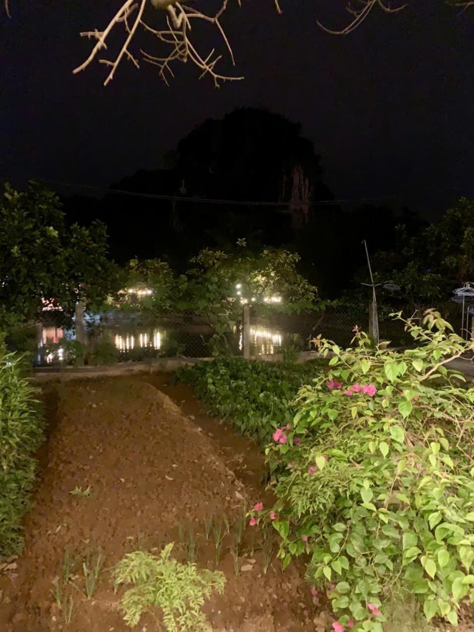 Blue Garden Homestay Ninh Bình Extérieur photo