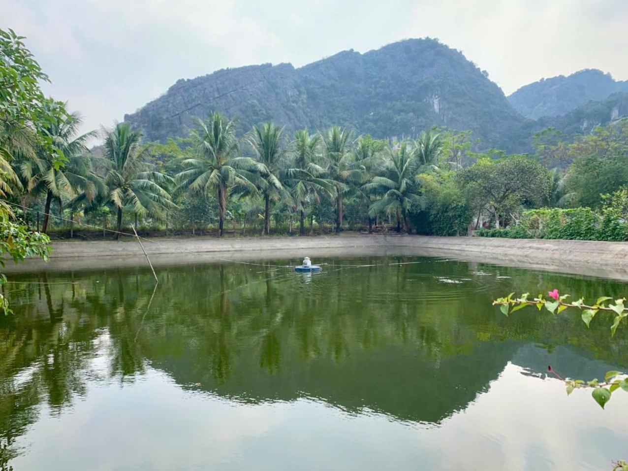 Blue Garden Homestay Ninh Bình Extérieur photo
