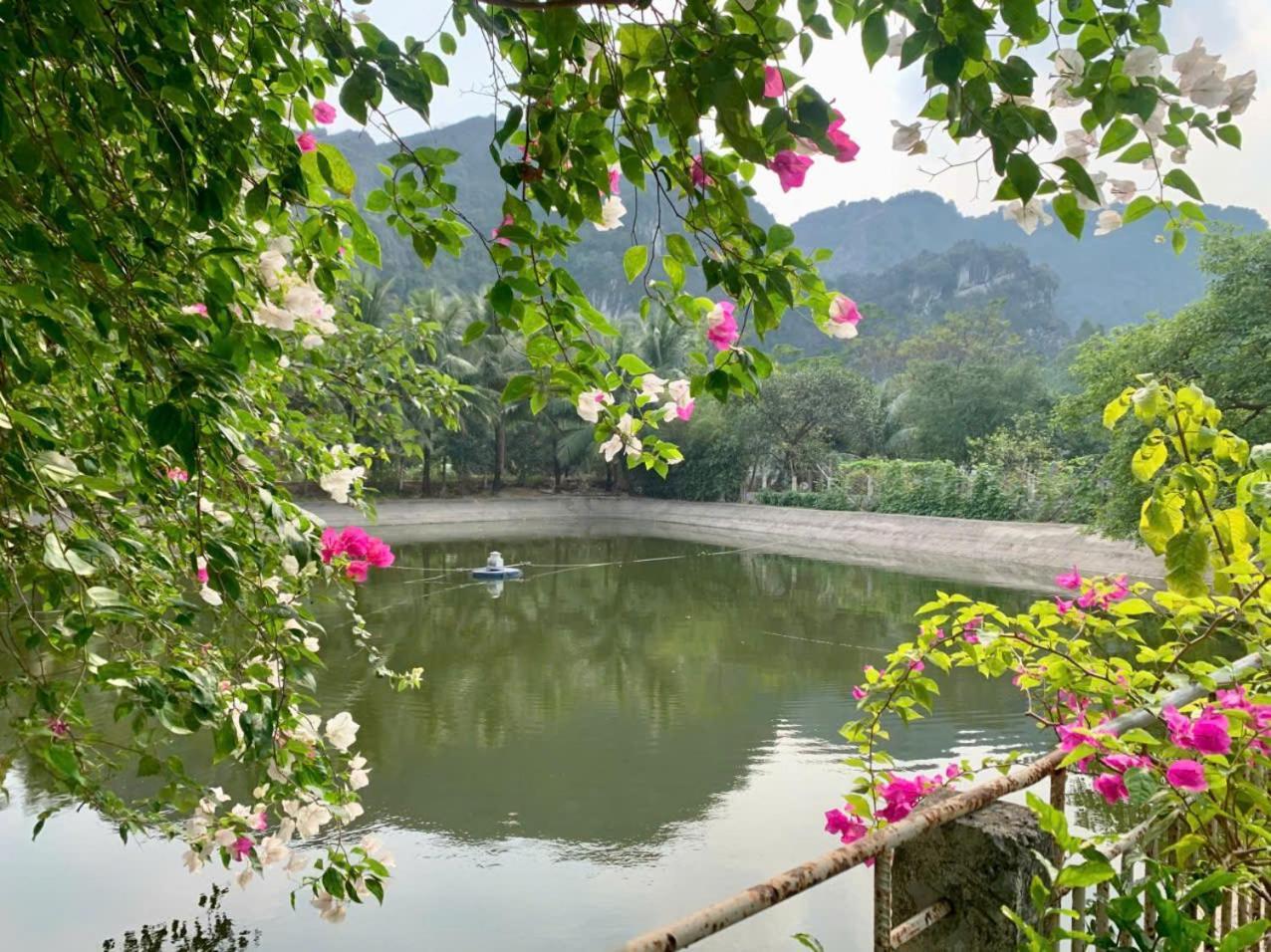 Blue Garden Homestay Ninh Bình Extérieur photo