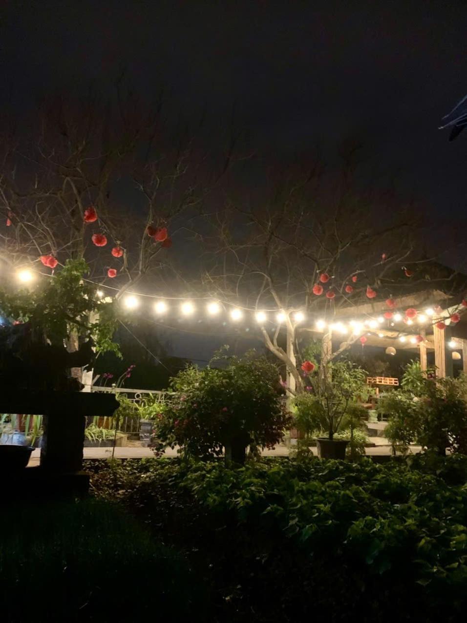 Blue Garden Homestay Ninh Bình Extérieur photo