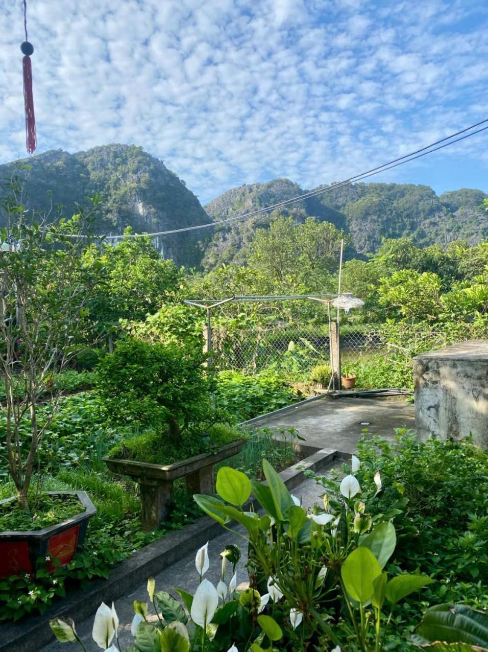 Blue Garden Homestay Ninh Bình Extérieur photo