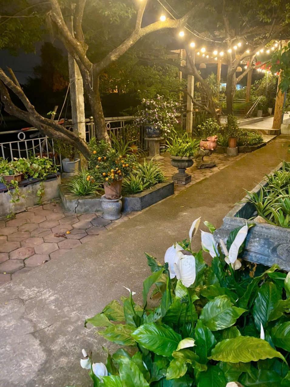 Blue Garden Homestay Ninh Bình Extérieur photo