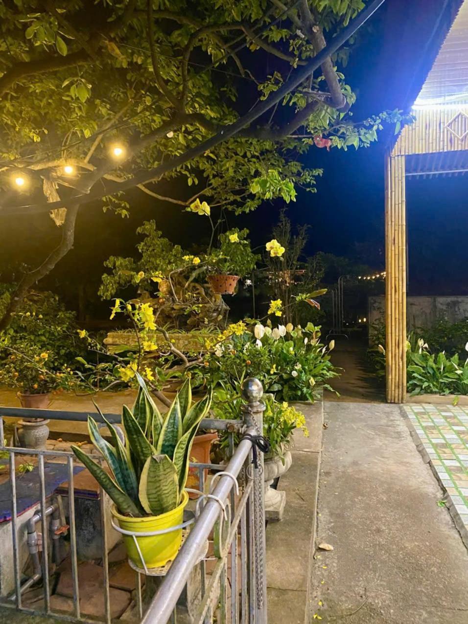 Blue Garden Homestay Ninh Bình Extérieur photo