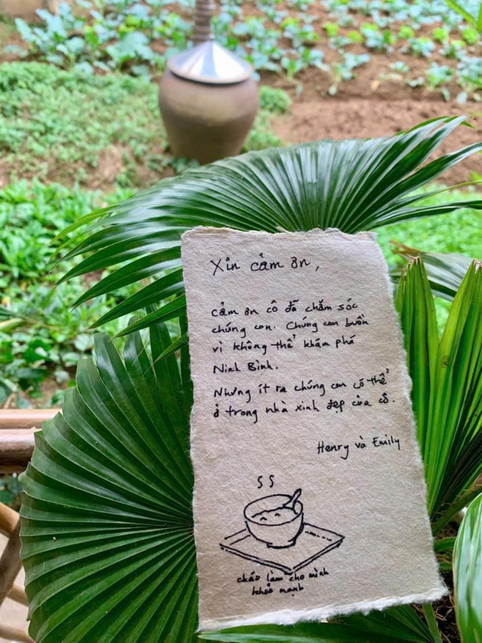 Blue Garden Homestay Ninh Bình Extérieur photo