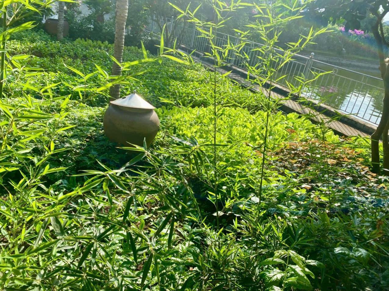 Blue Garden Homestay Ninh Bình Extérieur photo